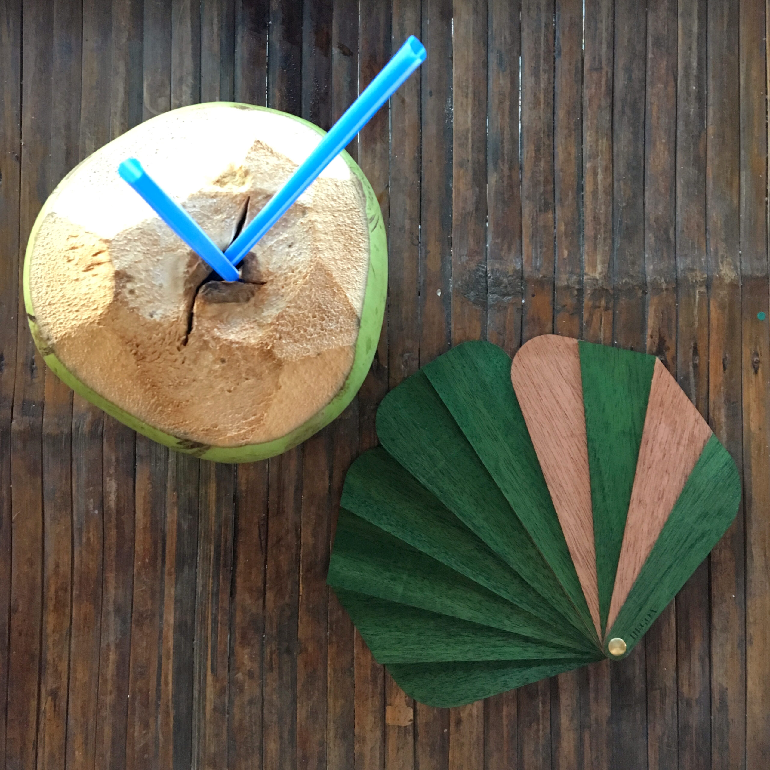 éventail hégoa ginko vert et lait de coco