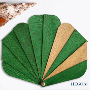 éventail hégoa en bois ginko vert